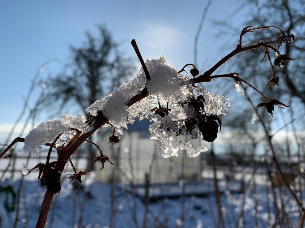 Ostseestuev Boiensdorf Esterno foto